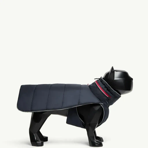 Tricolour-Trimmed Padded Dog Gilet
