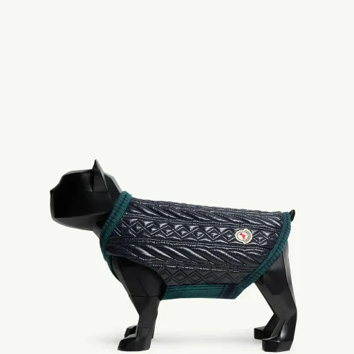 Wool-Trimmed Dog Gilet