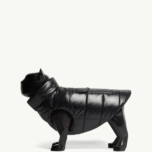 Padded Dog Gilet