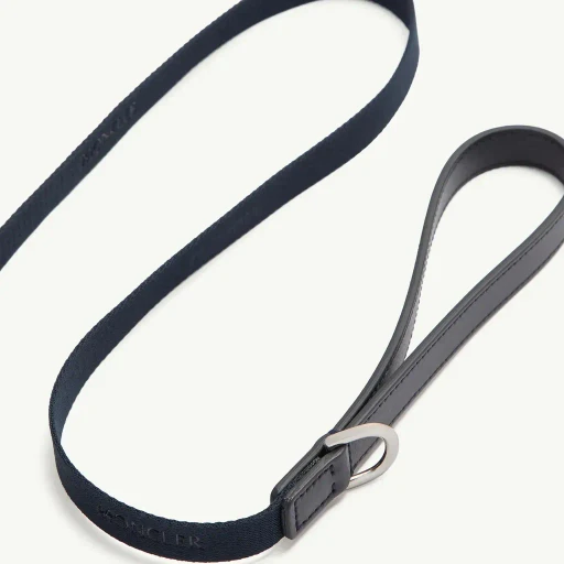Logo Dog Leash