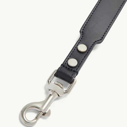 Logo Dog Leash