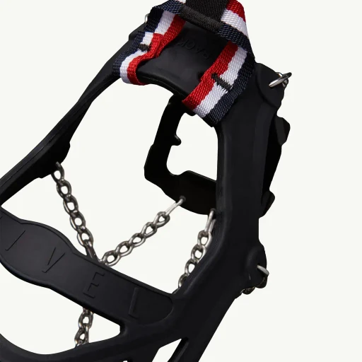 Crampons