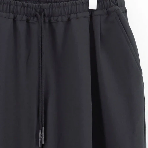 Wide Two Tuck Baggy Pants