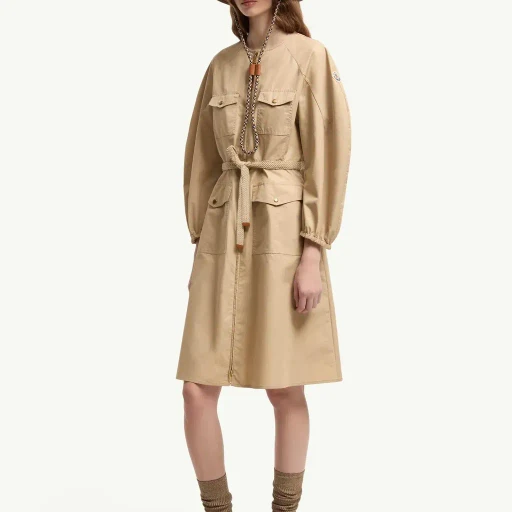Pleated Poplin Dress