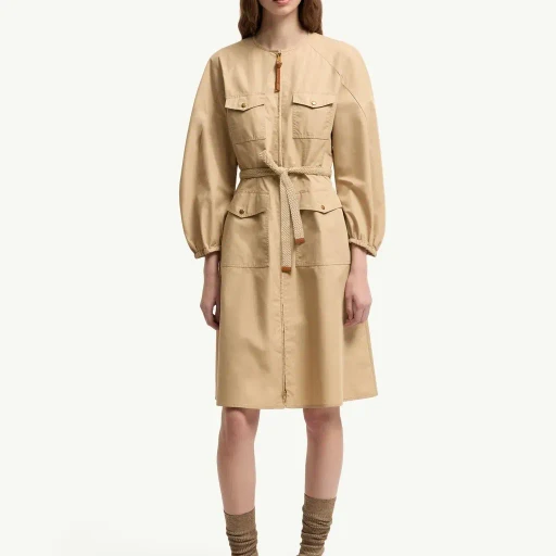 Pleated Poplin Dress