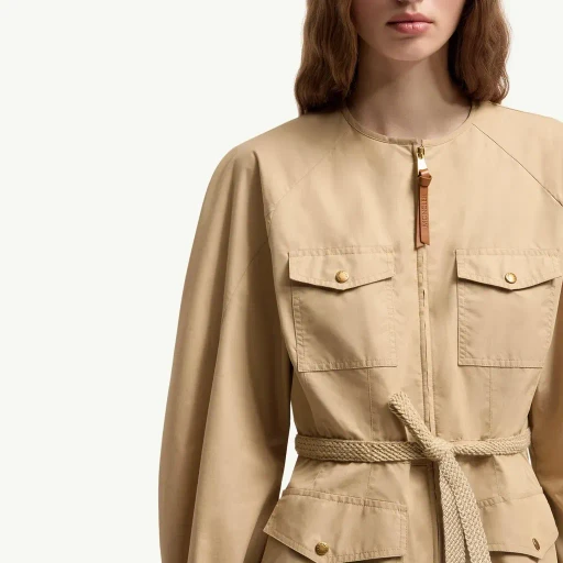 Pleated Poplin Dress