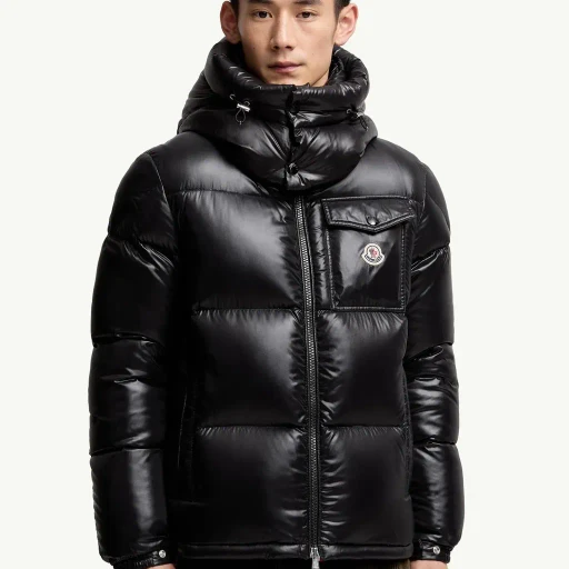 Montbeliard Hooded Short Down Jacket