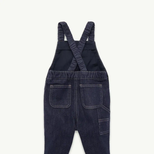 Denim Overalls