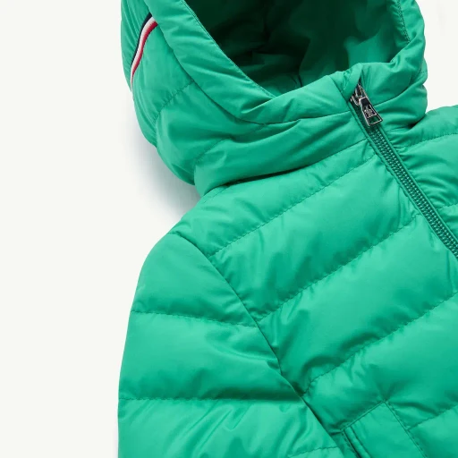 Dilar Hooded Down Jacket