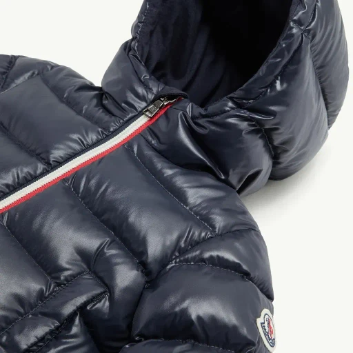 New Aubert Hooded Down Jacket