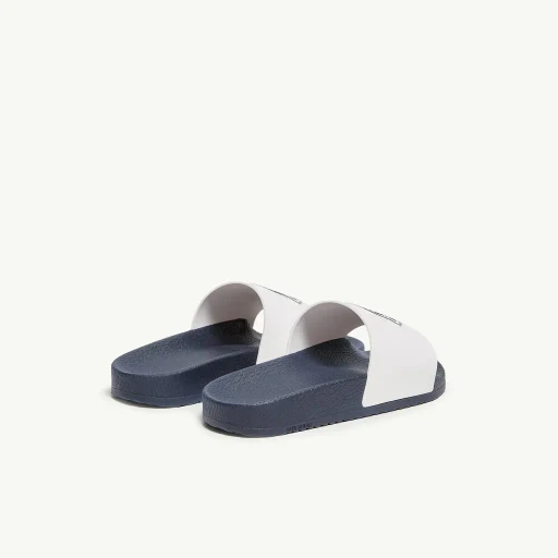 Petit Basile Slides