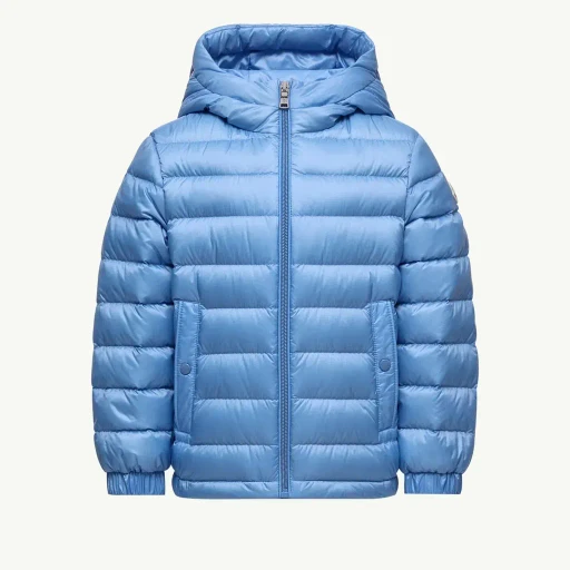 Dilar Hooded Down Jacket