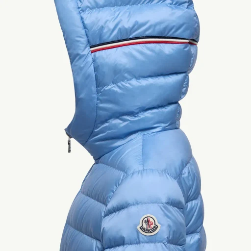 Dilar Hooded Down Jacket