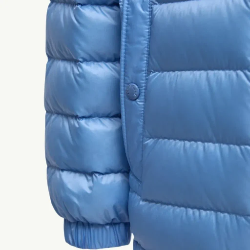 Dilar Hooded Down Jacket