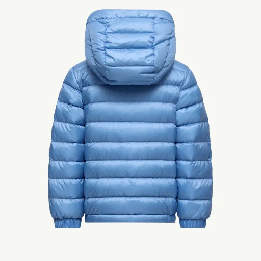 Dilar Hooded Down Jacket