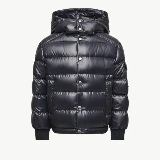 Manaem Hooded Down Jacket