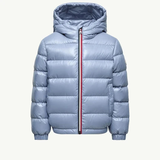 New Aubert Hooded Down Jacket