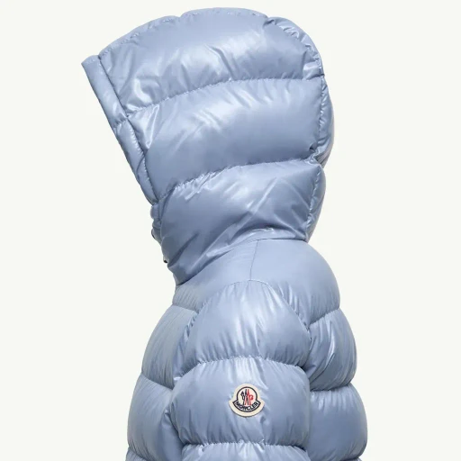New Aubert Hooded Down Jacket
