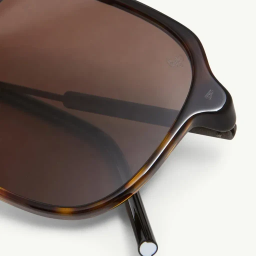 Cylin Pilot Sunglasses