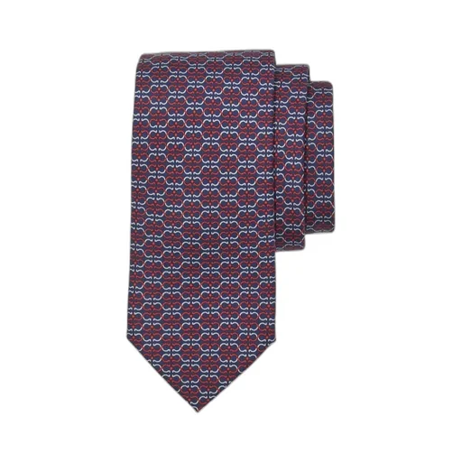 Ferragamo Gancini Printed Tie