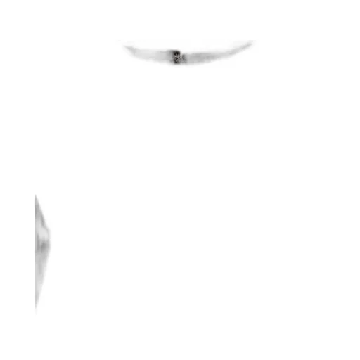 TotÊMe Long Sleeved Zipped Blouse