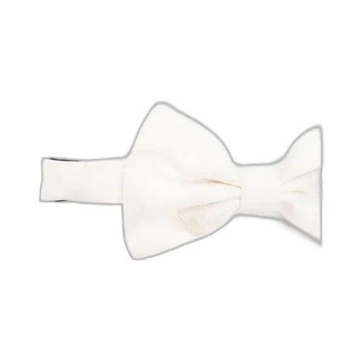 Printed Silk Bow Tie