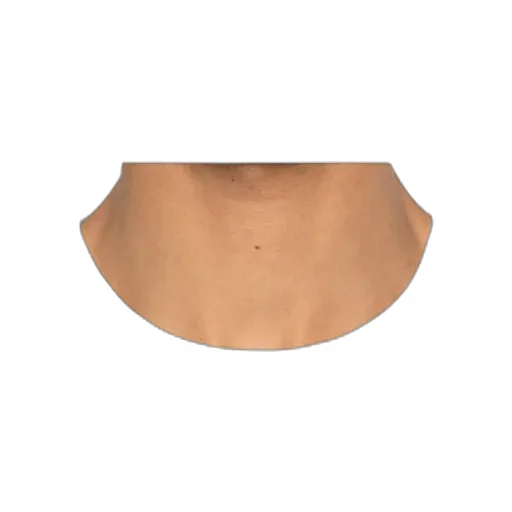 Crew Neck Logo T-Shirt