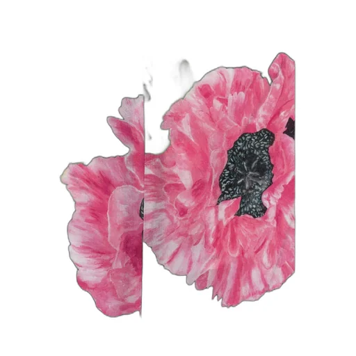 Stella Mccartney Flower Printed Short-Sleeve Dress