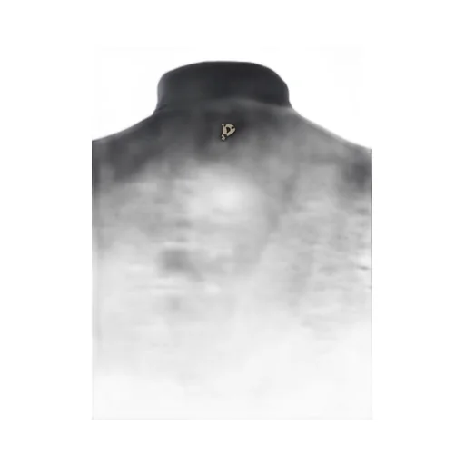 Dondup Turtleneck Slim Fit Top
