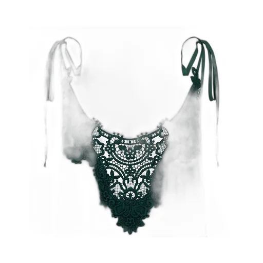 P.A.R.O.S.H. Lace Top