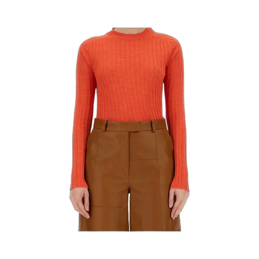Alysi Crewneck Long-Sleeved Knitted Top