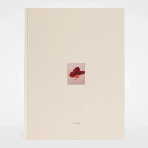 David Sims, Character