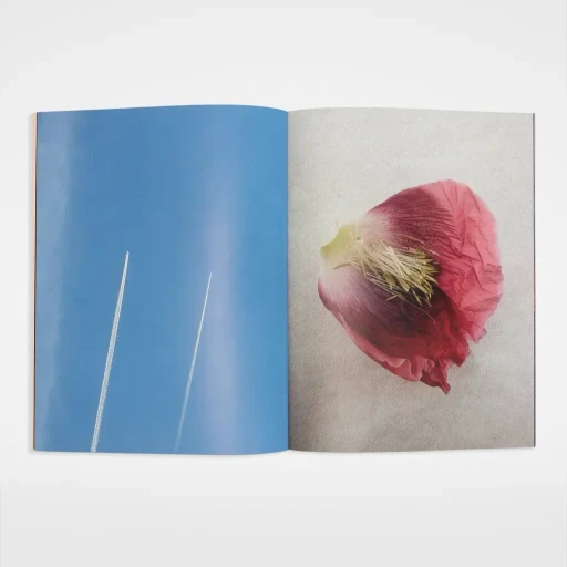 David Sims, Character
