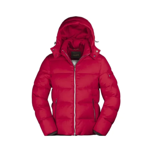 Brett Hooded Down Jacket