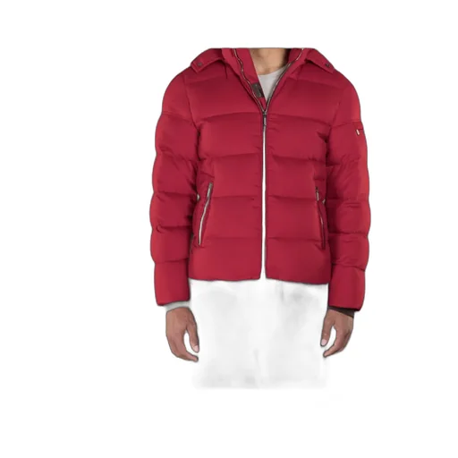 Brett Hooded Down Jacket