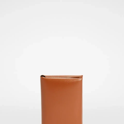 Folded Passport Holder