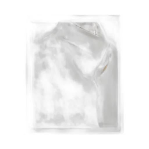 TotÊMe Funnel-Neck Sleeveless Top