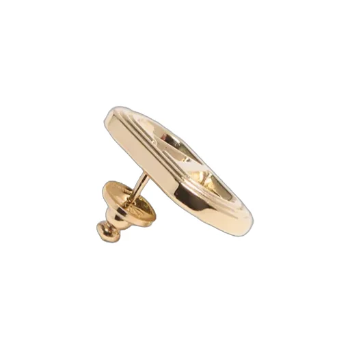 Valentino Vlogo Signature Earrings
