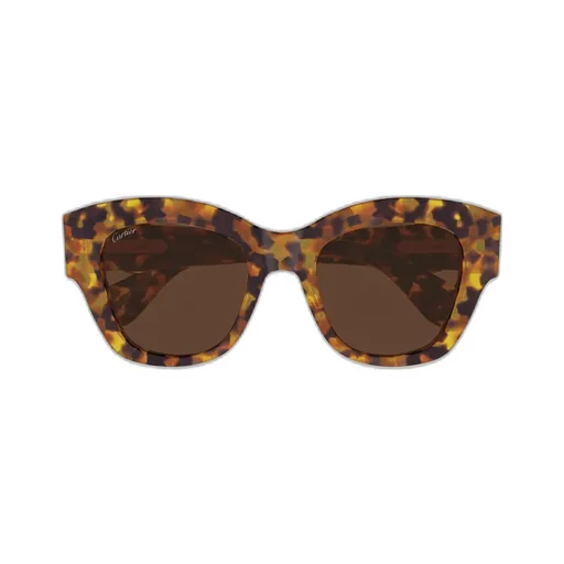 Full Frame Sunglasses