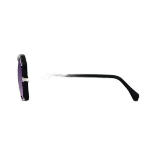 Frame Sunglasses