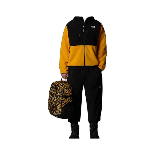 The North Face Retro Denali Jacket