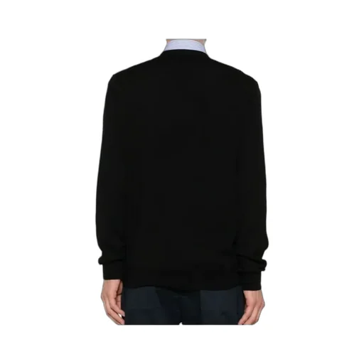 Polo Ralph Lauren Polo Pony Embroidered V-Neck Jumper