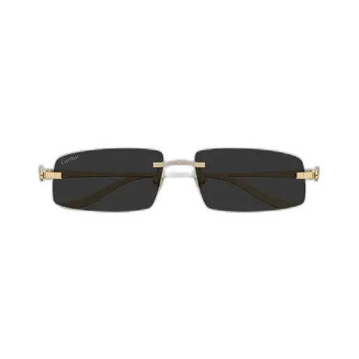 Cartier Eyewear Rectangle-Frame Sunglasses