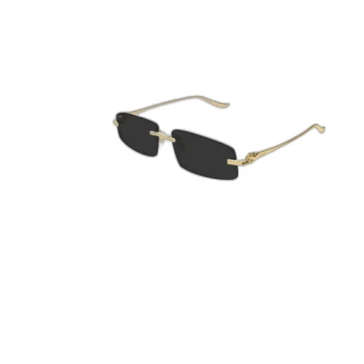 Cartier Eyewear Rectangle-Frame Sunglasses