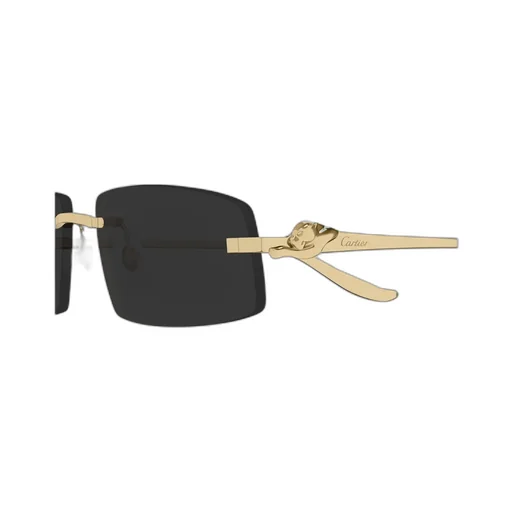 Cartier Eyewear Rectangle-Frame Sunglasses
