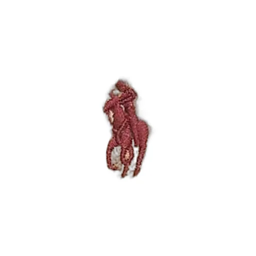Polo Ralph Lauren Polo Pony Embroidered Knitted Beanie
