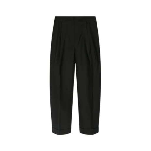 Pleated Casual Pants