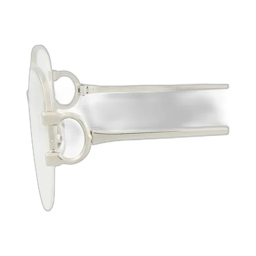 Oval Frame Sunglasses