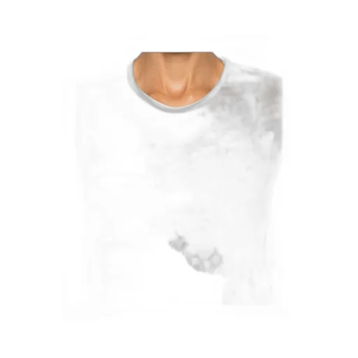 Translucent Vest