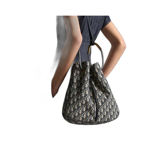 Large Dior Nolita Shoulder Bag